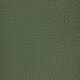 Mopane Thyme Green